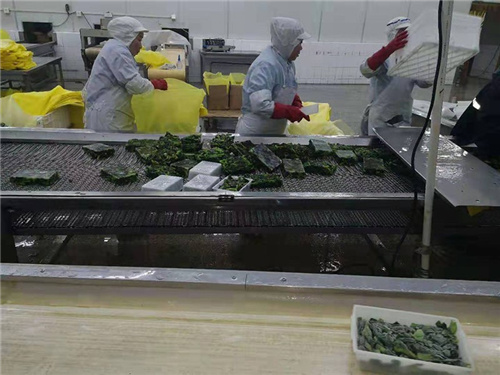 冷库的制冷设备要如何选择？